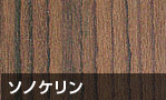 ソノリケン