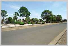 画像：公営墓地