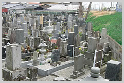 画像：霊園
