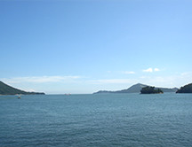 伊勢・三河湾
