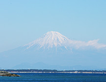 駿河湾