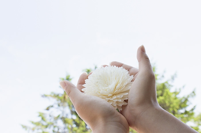 お供えのお菓子人気ランキングー失敗しない選び方と基本のマナー
