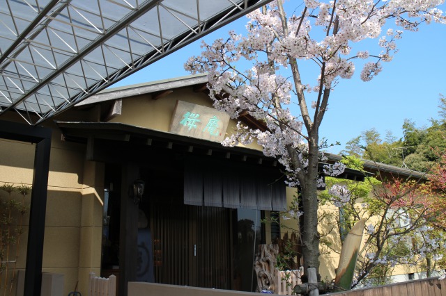 桜庵